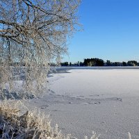 На память о прошедшей зиме :: Alexandеr P