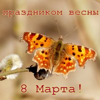 С 8 Марта! :: Александр Прокудин