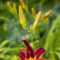 Невероятно сочная палитра природы :: Анастасия Фотографовна