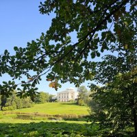 Павловский парк :: Юлия Голикова