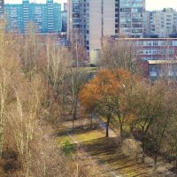 Март голубой... :: Юрий Куликов