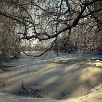 У озера :: Aleksandr Gal