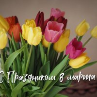 С Праздником, дорогие женщины! :: Магомед .