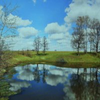 Красота весны :: Людмила Смородинская Красота весны :: Людмила Смородинская