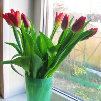 Праздничный букетик :: Людмила Смородинская