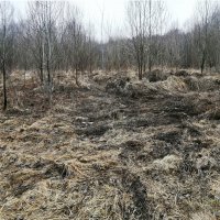 ВЧЕРА БЫЛА ОСЕНЬ :: Юрий Вовк