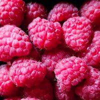 Малинка :: Юлия Голикова