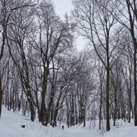 Тропинка в парке :: Олег Манаенков