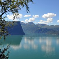 Пейзаж с березой :: Ирина Ватолина