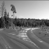Зимняя дорога .... :: Aleksandr Gal