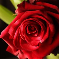 Добрый день :: Юрий. Шмаков