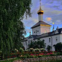 Лебеди и не совсем дикие :: Юля 