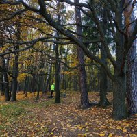 Мольба :: Андрей Лукьянов Мольба :: Андрей Лукьянов