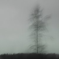 ТУМАНИЗМ :: Юрий Вовк