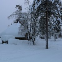 Финское Заполярье :: Ольга 