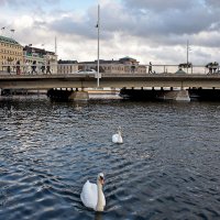 Город в единении с природой :: Alexandеr P