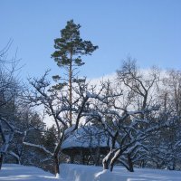 Зимнее утро в начале марта :: Олег Зоркий