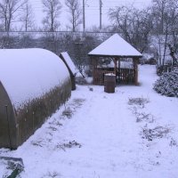А у нас опять зима :: Людмила Смородинская