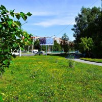 Чебоксары. Летняя лужайка вдоль проспекта Мира. :: Пётр Чернега