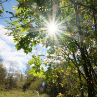 Солнечный денёк :: Олег Зоркий