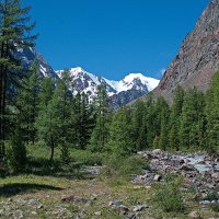 ЛЕДНИК БОЛЬШОЙ АКТРУ.  Северо-чуйский горный хребет. По Алтаю 90. :: Виталий Половинко