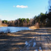 Про смоленскую весну . :: Милешкин Владимир Алексеевич 