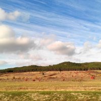 Дорогами Крыма :: Татьяна Лютаева