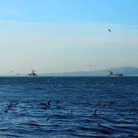 Море,море... :: веселов михаил 