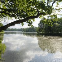 Царское село, вид на  Большой пруд :: Олег Зоркий