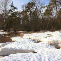 Зеленогорск. Март :: Наталья Герасимова