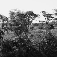 Название отсутствует :: Денис Безногов