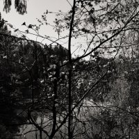 Название отсутствует :: Денис Безногов