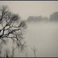 Туман над рекой :: Aleksandr Gal