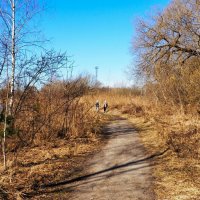 Природа Смоленщины (репортаж из поездки по области). :: Милешкин Владимир Алексеевич 