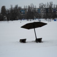 первые дни марта :: Елена Шаламова