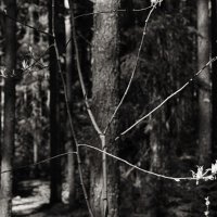 Название отсутствует :: Денис Безногов