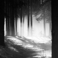 туман :: александр 