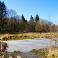 Весна - март :: Милешкин Владимир Алексеевич Весна - март :: Милешкин Владимир Алексеевич