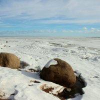 Зеленогорск. Март :: Наталья Герасимова