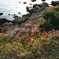 Крымские зарисовки :: Александр Гапоненко