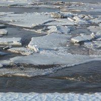 Плывёт, плывёт по речке лёд. 22 марта 2025 года. Исеть. :: Михаил Полыгалов