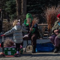 Верба :: Александр Тарноградский