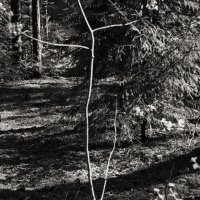 Название отсутствует :: Денис Безногов Название отсутствует :: Денис Безногов