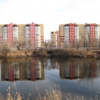 хороший день :: Елена Шаламова