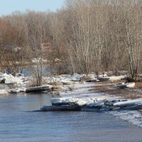 За городом. :: Венера Чуйкова
