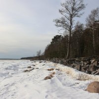 Зеленогорск :: Наталья Герасимова