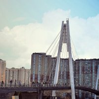 Павшинский мост — пешеходный вантовый мост :: Татьяна Помогалова