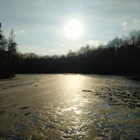 Март в Измайловском парке :: Андрей Лукьянов