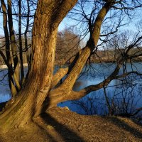 Март в Измайловском парке :: Андрей Лукьянов