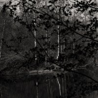 Название отсутствует :: Денис Безногов